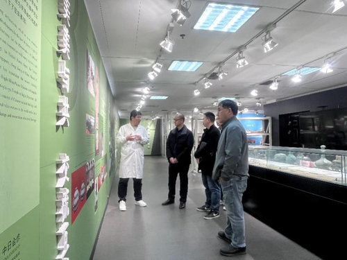 土环砖石1 土环砖石1