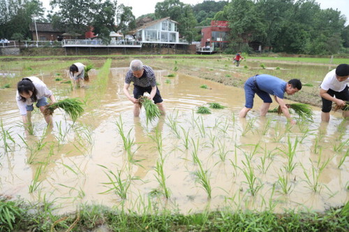 星空app官网积极推动大中小学“五育并举”一体化