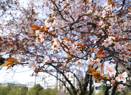 IMG_20180304_145532x