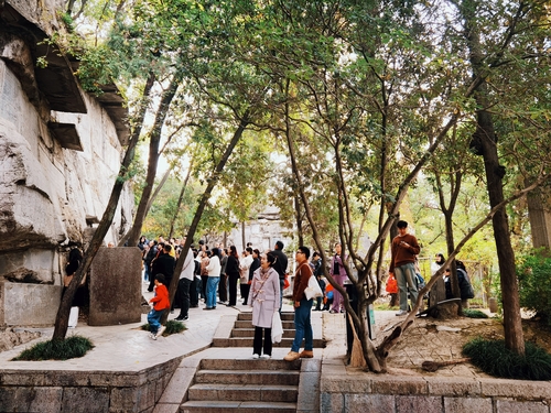 81B4CDD1589DF11F838944F0FF7A1469 81B4CDD1589DF11F838944F0FF7A1469