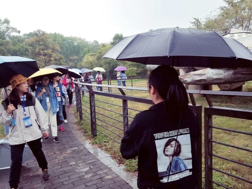 mmexport1540535344177 mmexport1540535344177