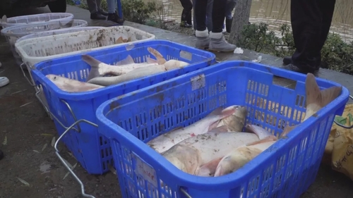 640.webp (1) 640.webp (1)