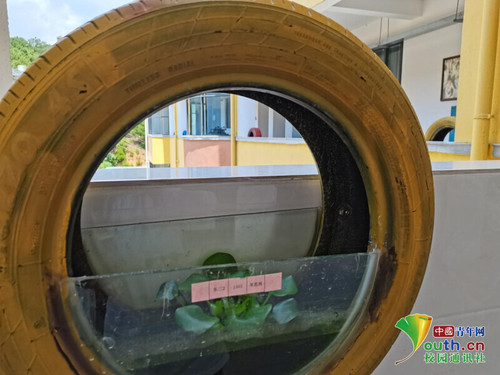 6107eb5796c25lc 6107eb5796c25lc