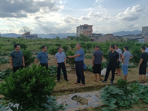 86077_500x500 86077_500x500